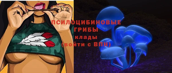 молекула духа Каменка