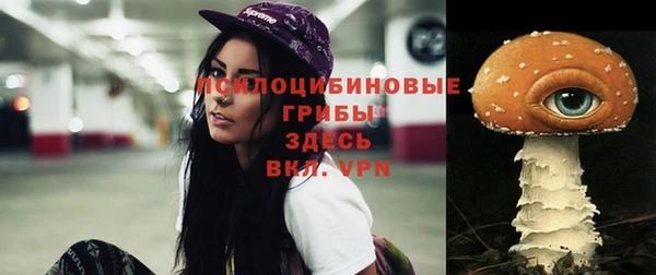 spice Каменск-Шахтинский
