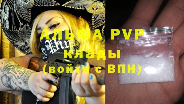 молекула духа Каменка