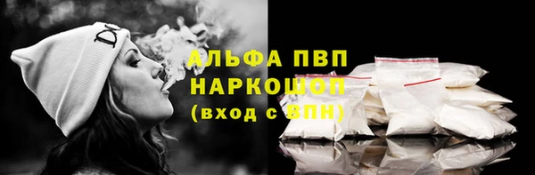 молекула духа Каменка