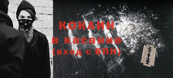 молекула духа Каменка