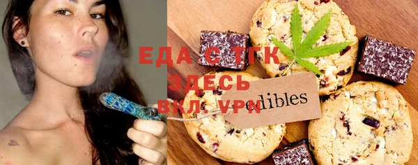 стаф Инта
