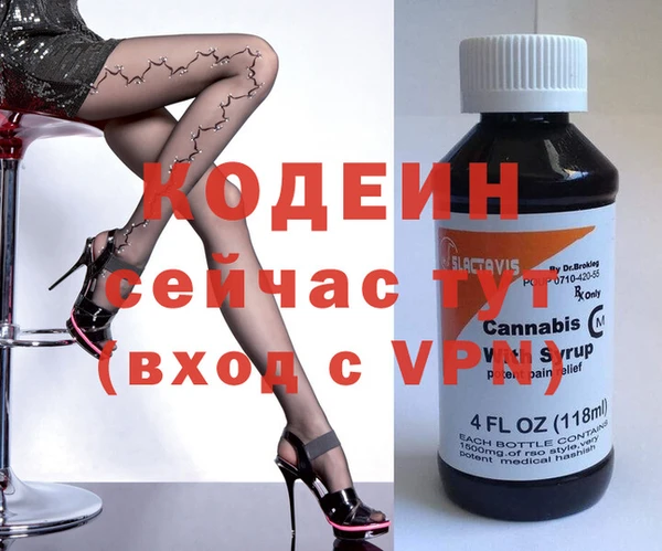 молекула духа Каменка
