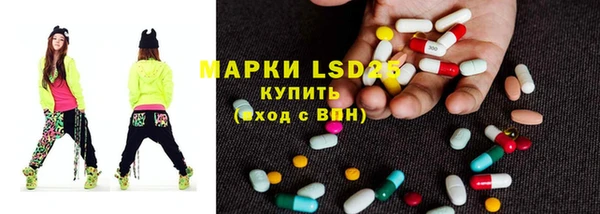 молекула духа Каменка