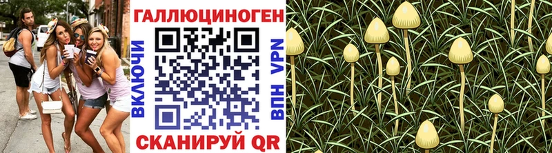 Купить закладки  Донской  Галлюциногенные грибы прущие грибы 
